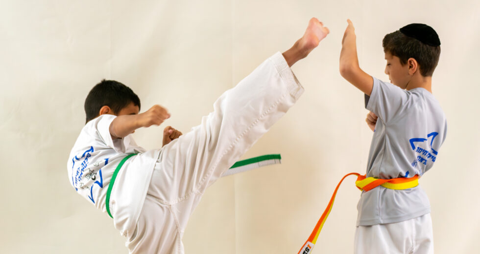 שילוב לחימה ישראלי