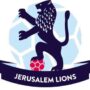 כדורגל lions