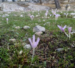 העדכון האורבני השבועי 15-21.11