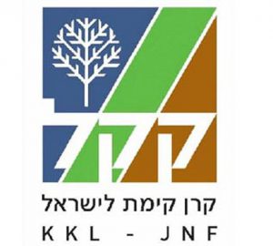 "כל הארץ דגלים דגלים, עם רוקד גלים גלים…" לפניכם מגוון הפעלות ליום העצמאות