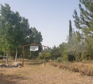 טבע עירוני