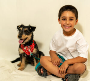 אילוף כלבים- בי"ס נועם