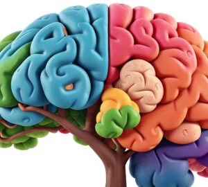 שיפור הזיכרון- מתחילים